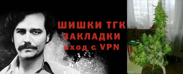 сатива Нефтегорск
