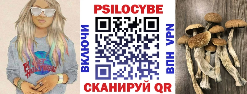Псилоцибиновые грибы Cubensis  Александровск 